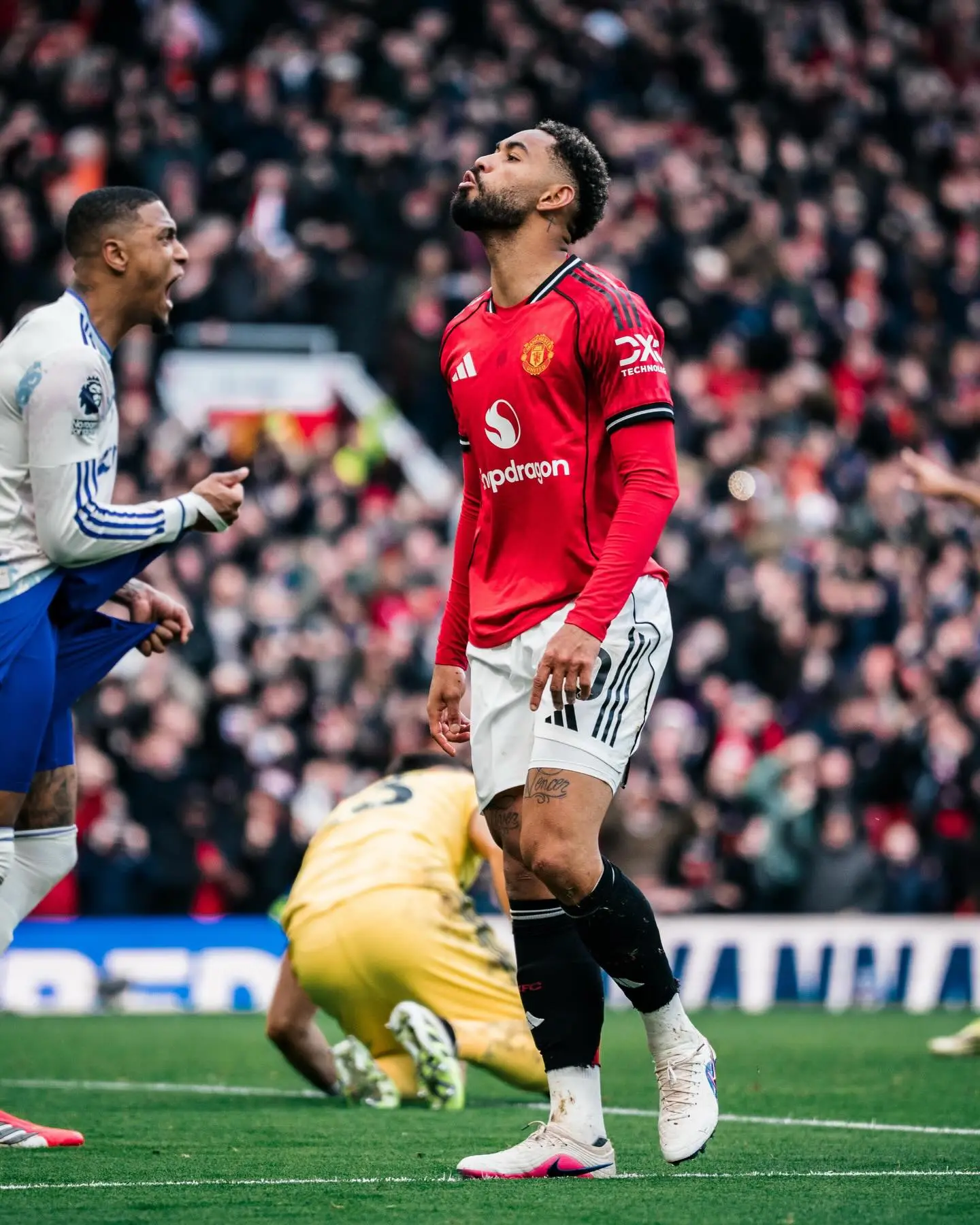 开云官网-打入一球，库尼亚赛后社媒：酷毙了，美丽的周日